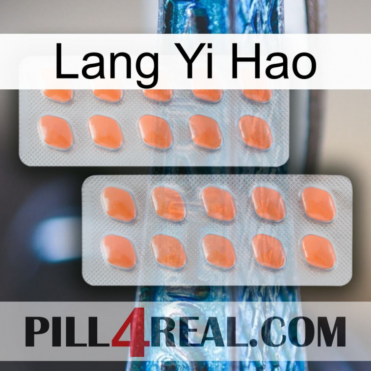 Lang Yi Hao 27